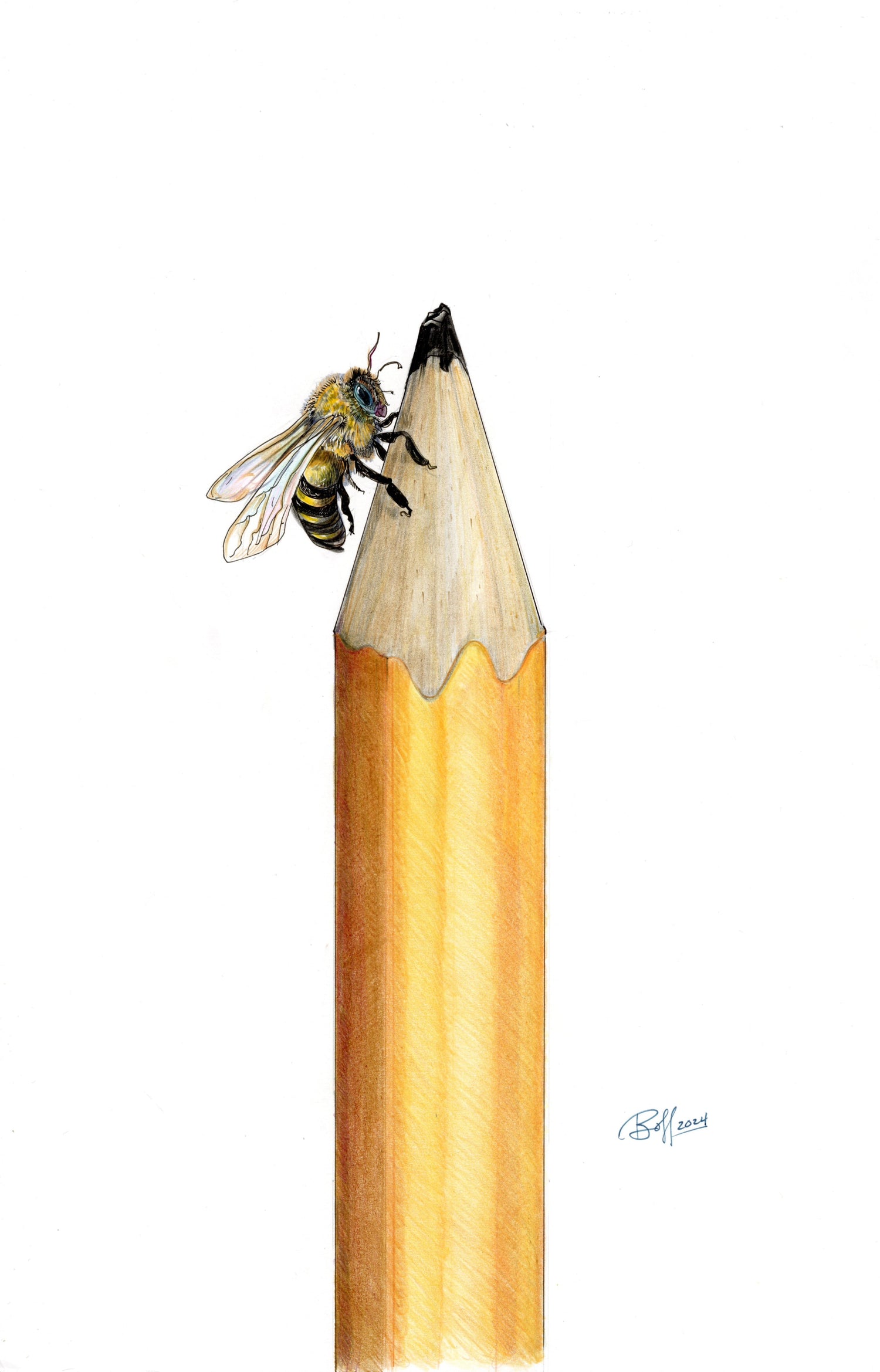 The Pencil Works