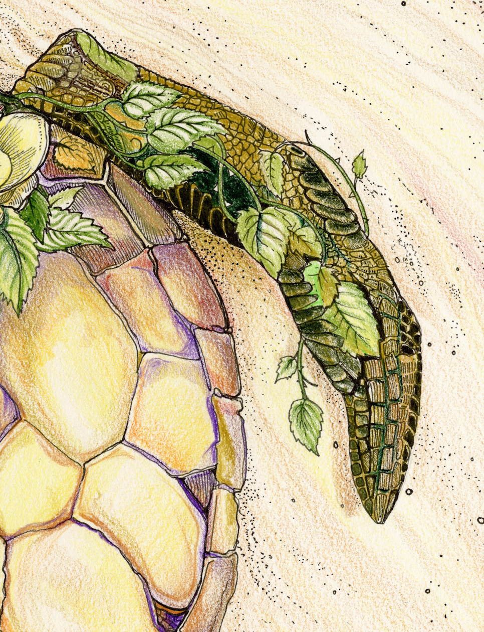 Tattooed Turtle 2 - The Romeo