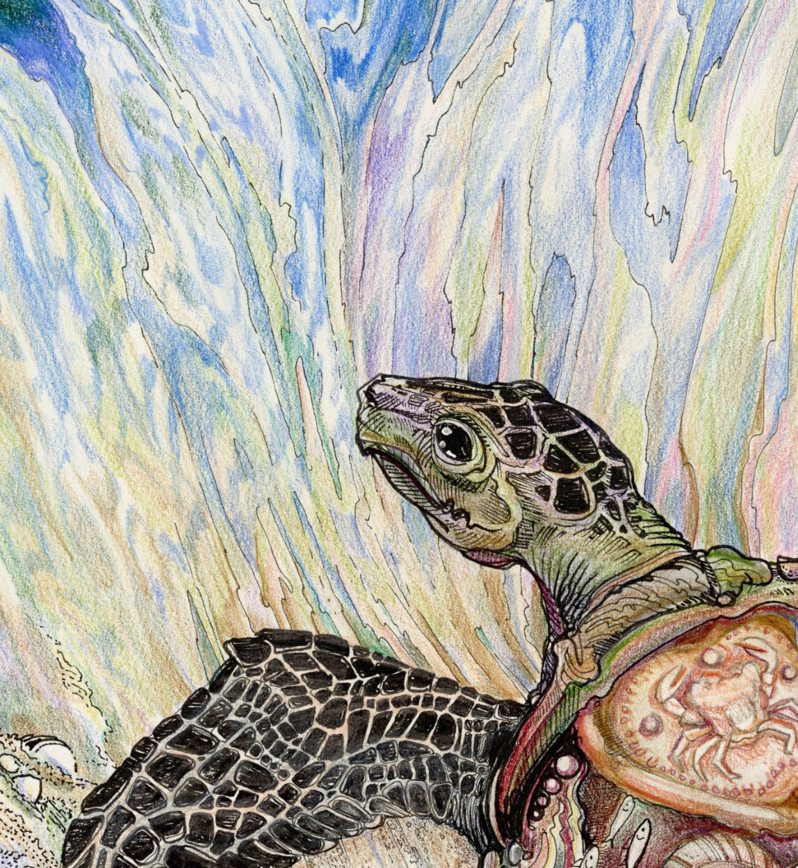 Tattooed Turtle 3 - The Warrior